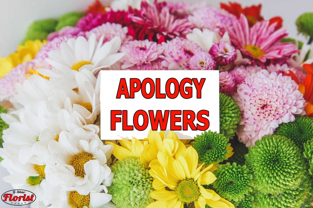 apology flowers San Antonio