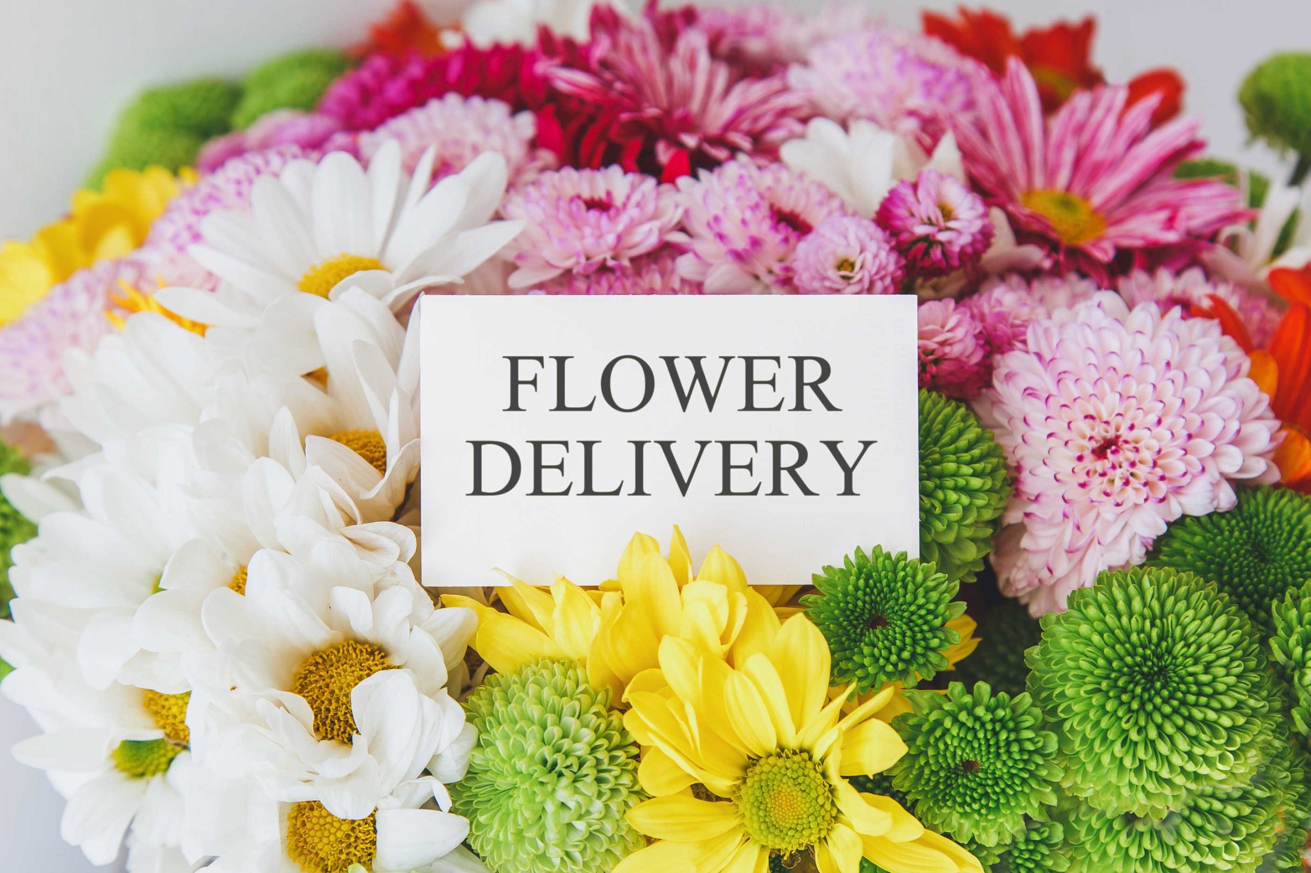 same-day-flower-delivery- San Antonio